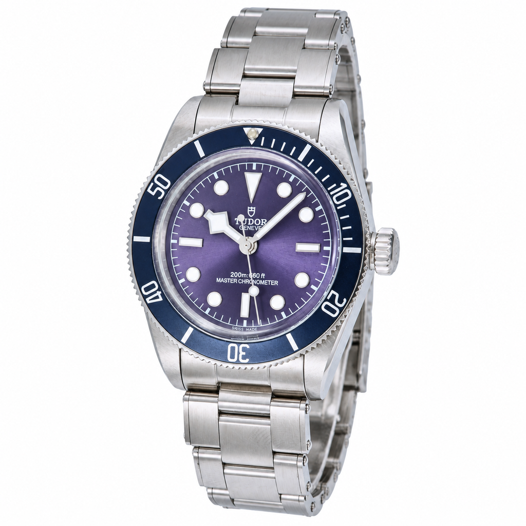 Tudor Black Bay 39mm Professional Automatic Steel Watch
